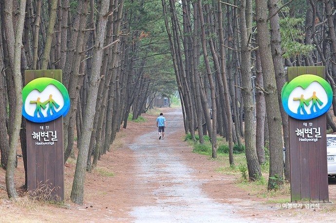 노을길 해안길 둘레길