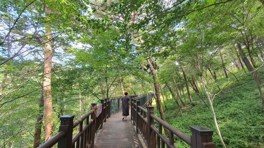 안면도 자연휴양림